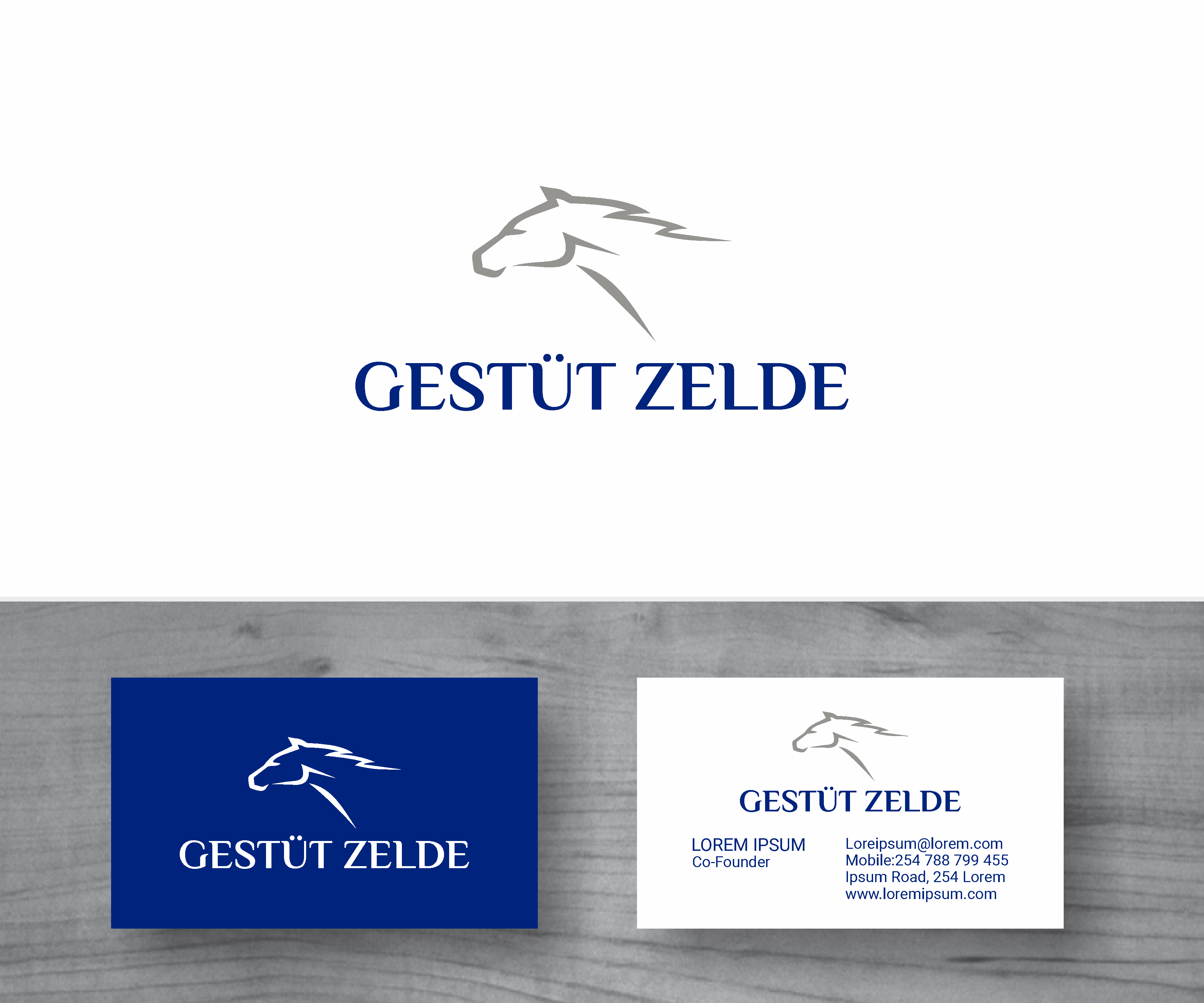 Logo Design by MBARO for Zeinpro GmbH | Design #35914492