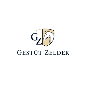 Logo Design by USIAD ANAS for Zeinpro GmbH | Design: #35874340
