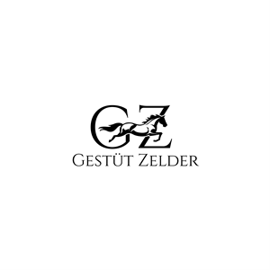 Diseño de Logo por ares_h1 para Zeinpro GmbH | Diseño #35876276