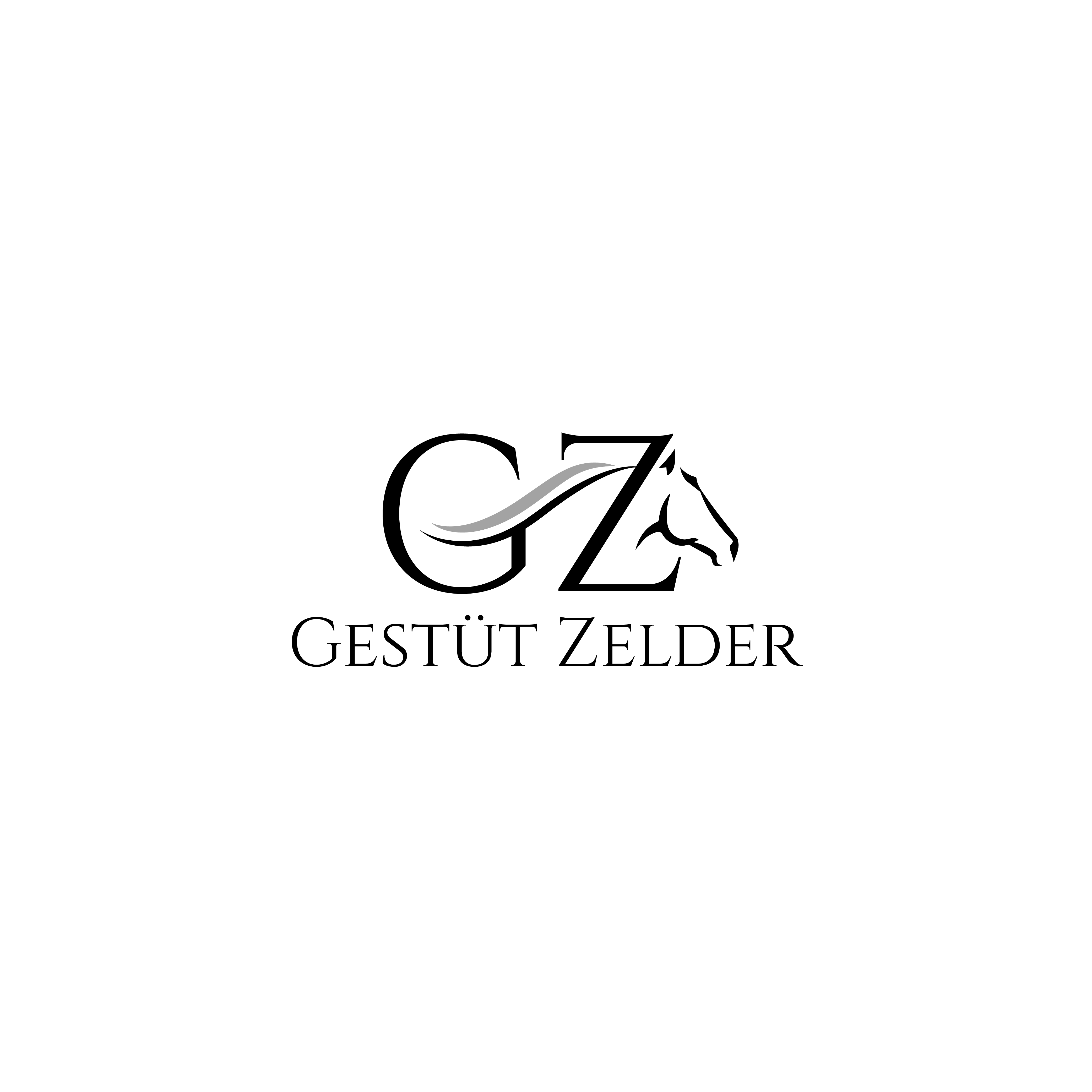 Logo Design by ares_h1 for Zeinpro GmbH | Design #35876277