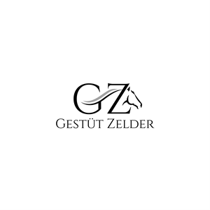 Logo Design by ares_h1 for Zeinpro GmbH | Design: #35876277