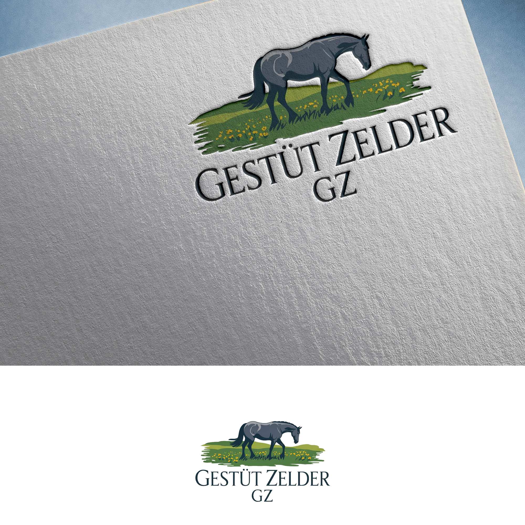 Logo Design by Feni:) for Zeinpro GmbH | Design #35876117