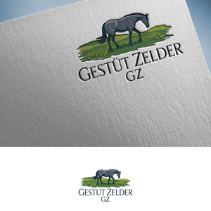 Logo Design by Feni:) for Zeinpro GmbH | Design: #35876117