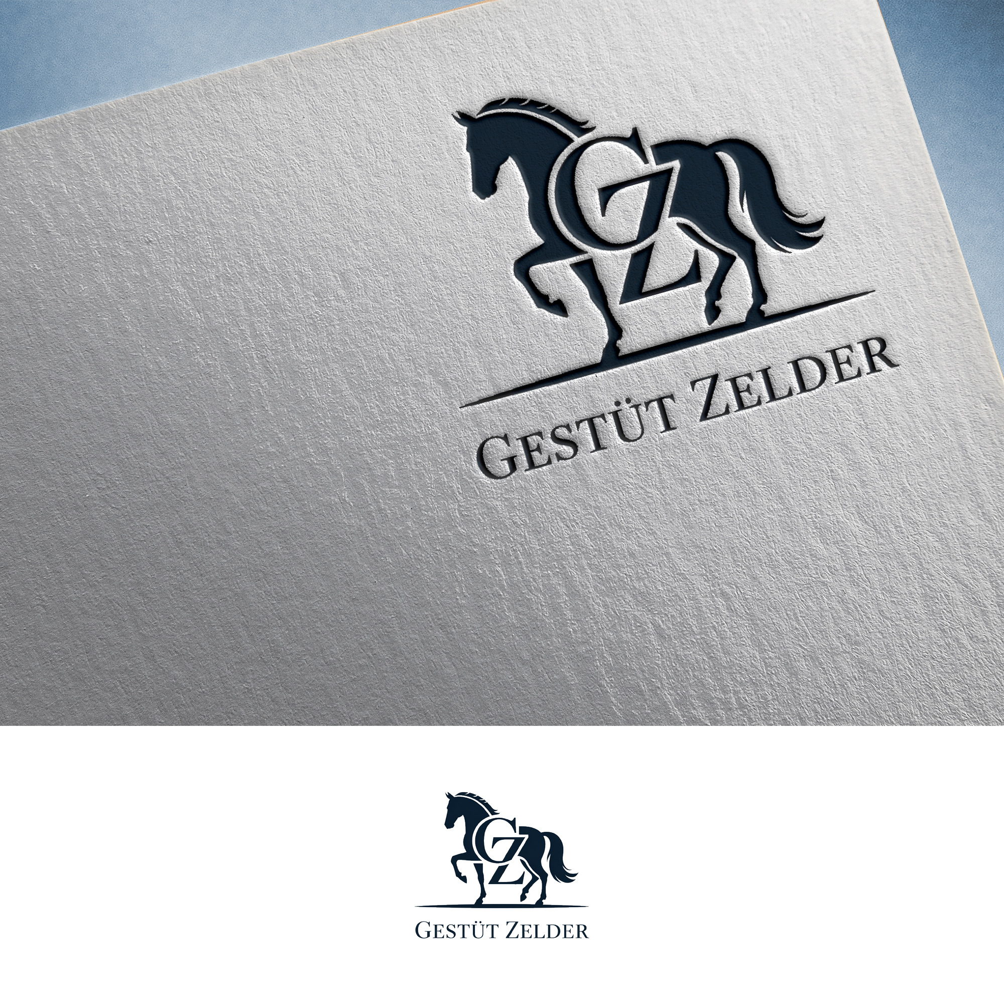 Logo Design by Feni:) for Zeinpro GmbH | Design #35876119