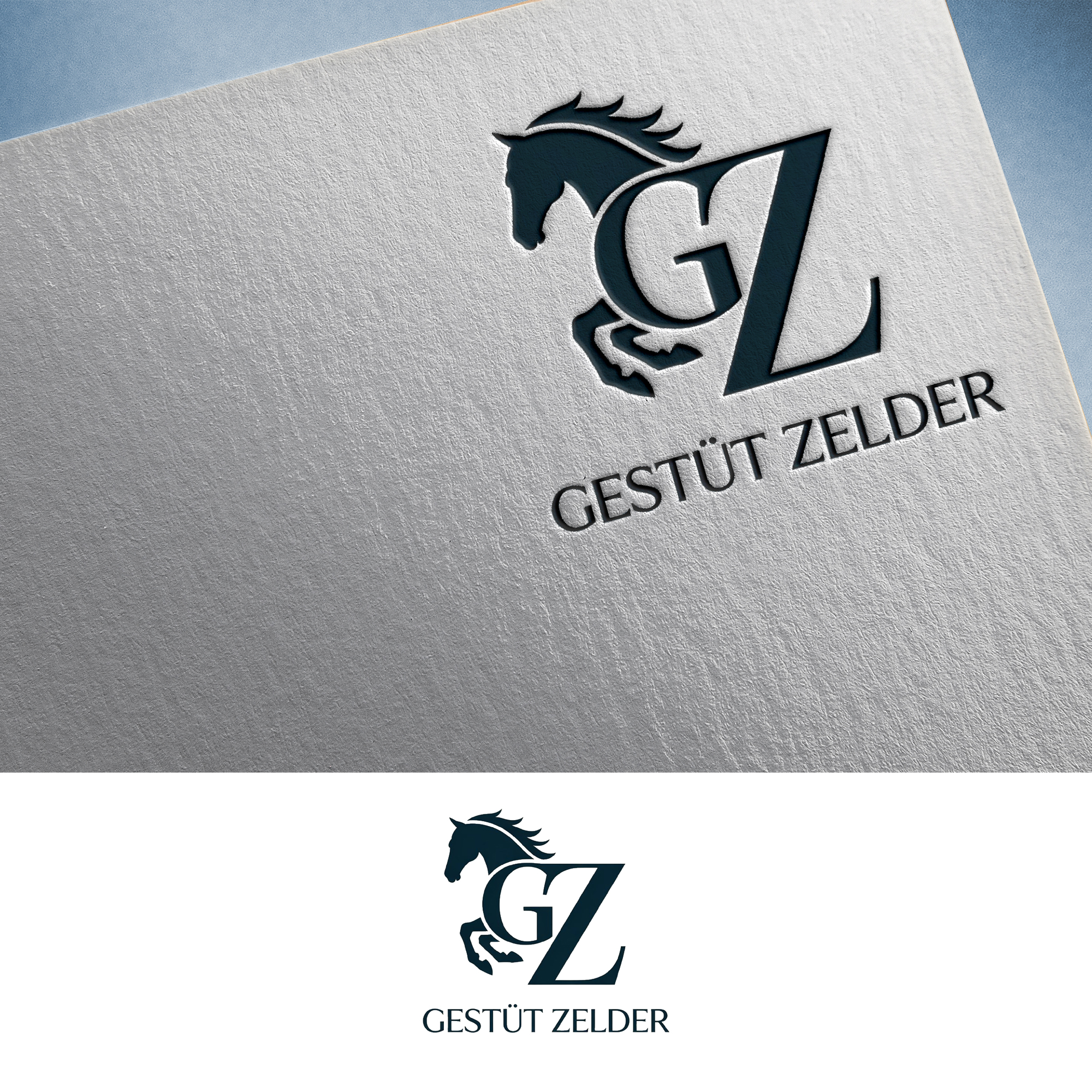 Logo Design by Feni:) for Zeinpro GmbH | Design #35876120