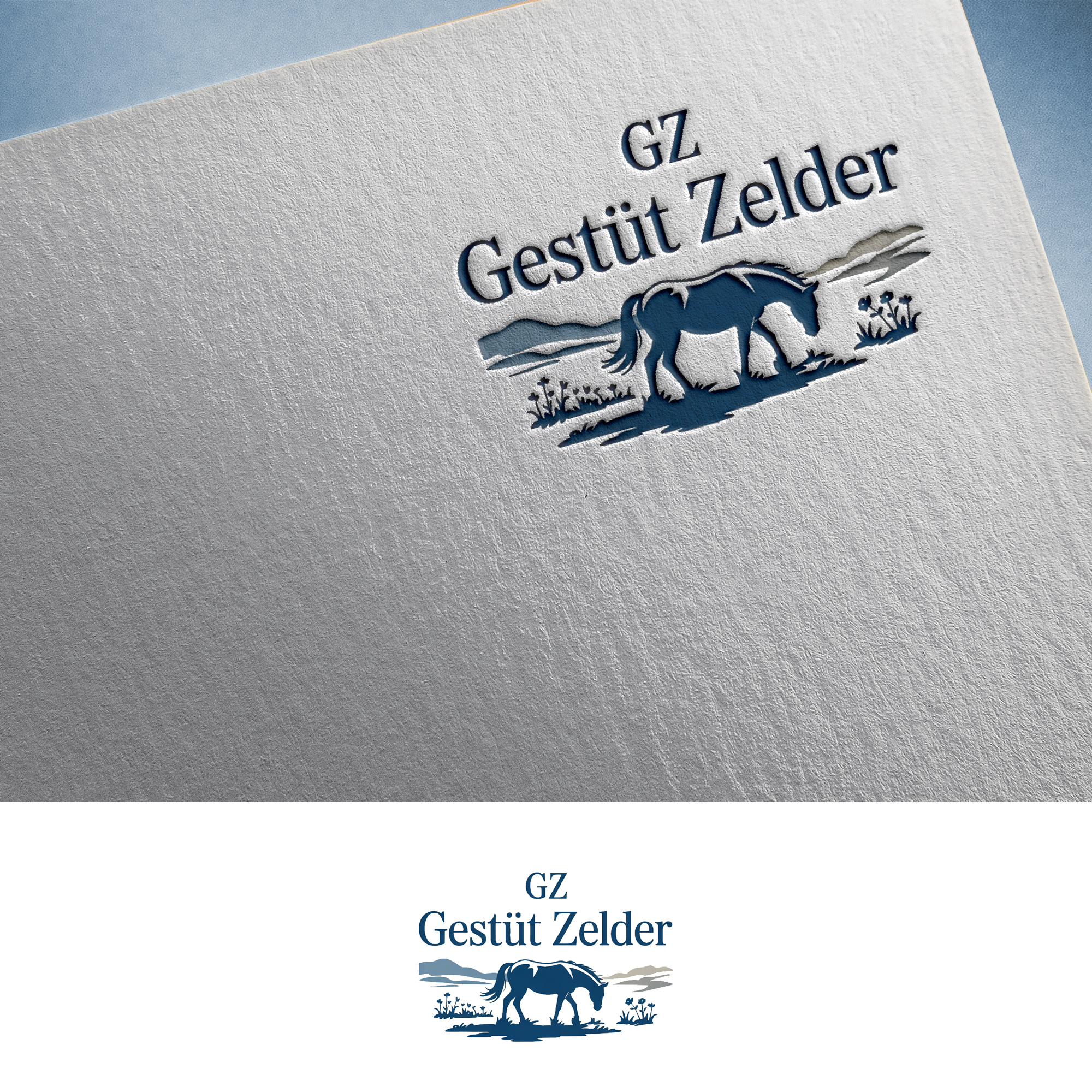 Logo Design by Feni:) for Zeinpro GmbH | Design #35876121