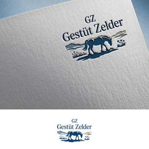 Logo Design by Feni:) for Zeinpro GmbH | Design: #35876121