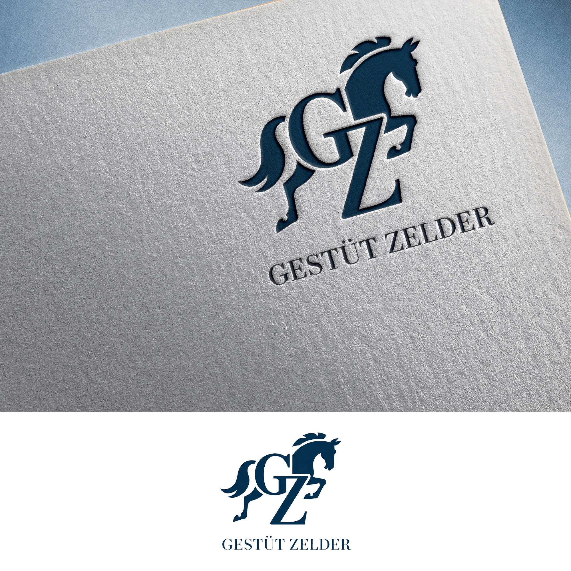 Logo Design by Feni:) for Zeinpro GmbH | Design #35876127