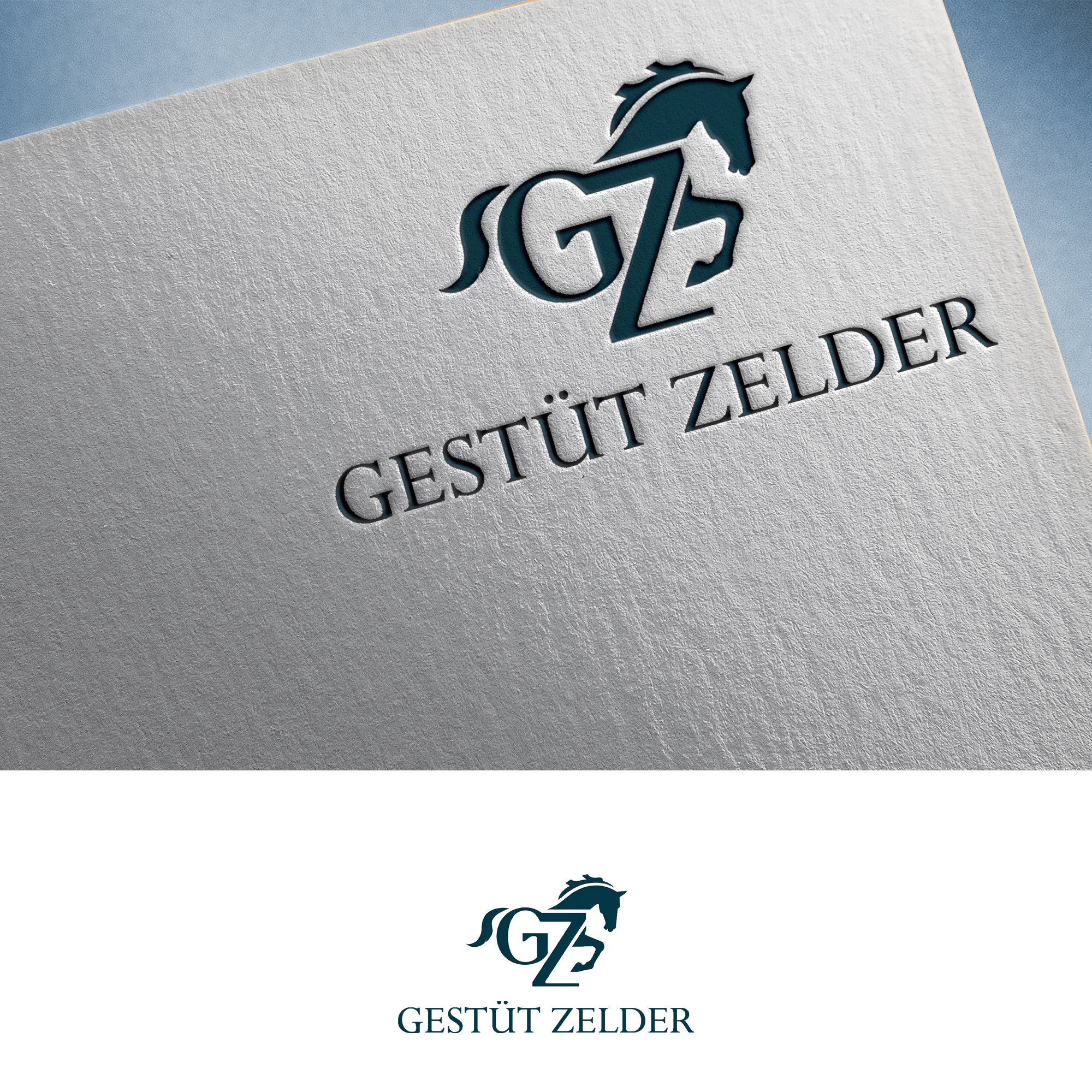 Logo Design by Feni:) for Zeinpro GmbH | Design #35876128