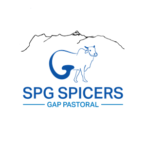 Logo-Design von m@h!r für dieses Projekt | Design: #35891050