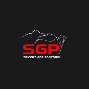 Design de Logo par ares_h1 pour ce projet | Design #35888161