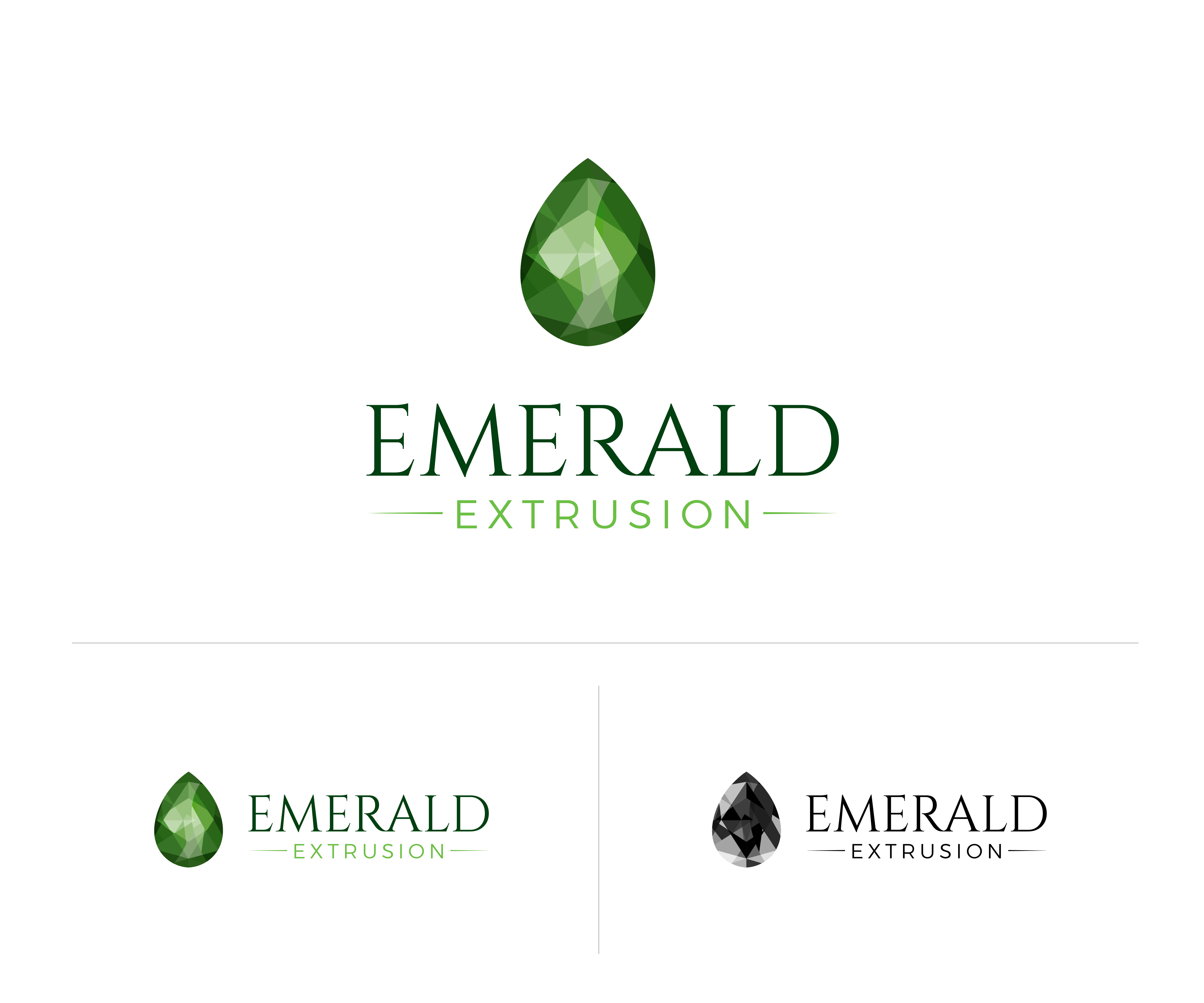 Logo Design by Vertikus for this project | Design #35894061
