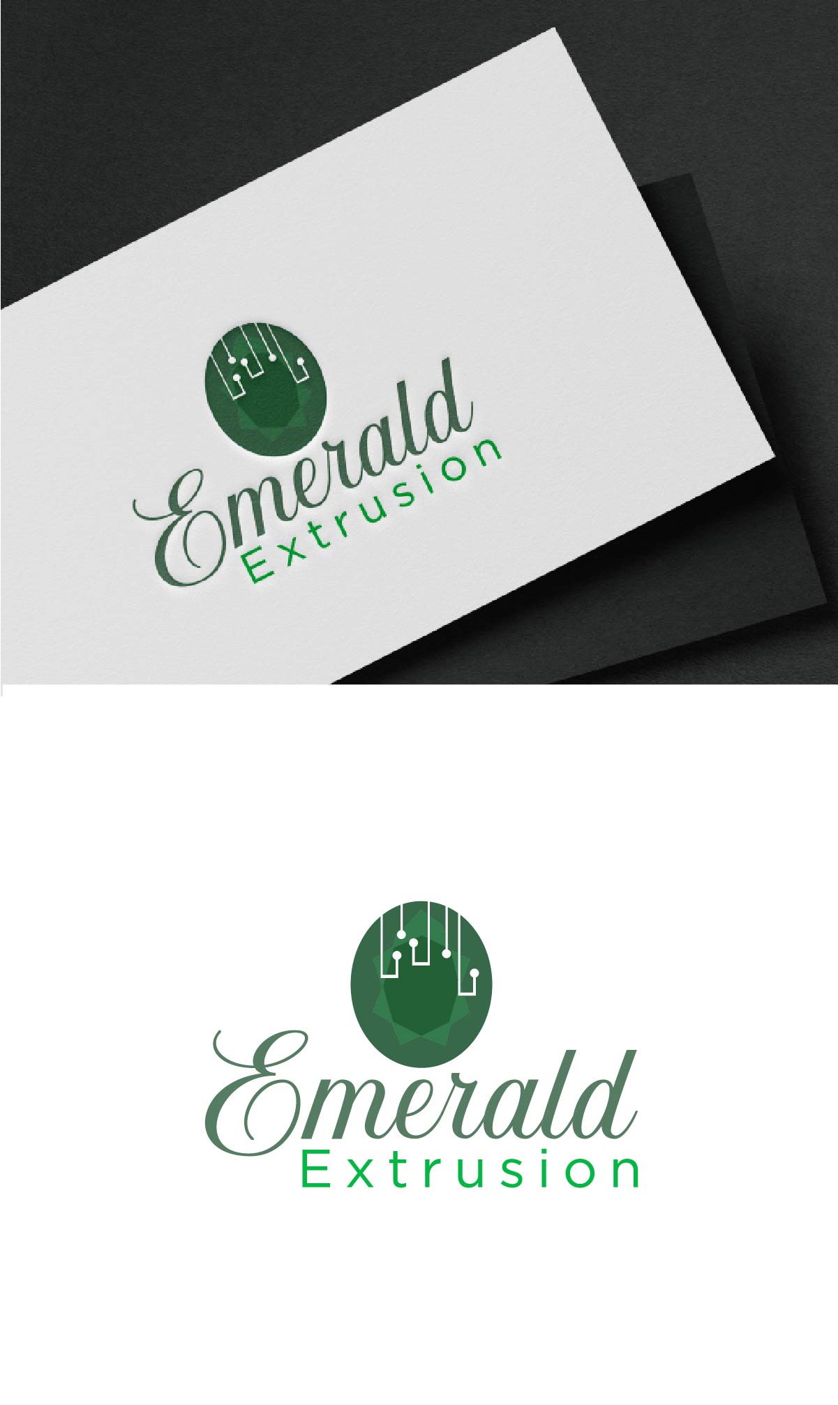Logo Design by fly  design for this project | Design #35891114