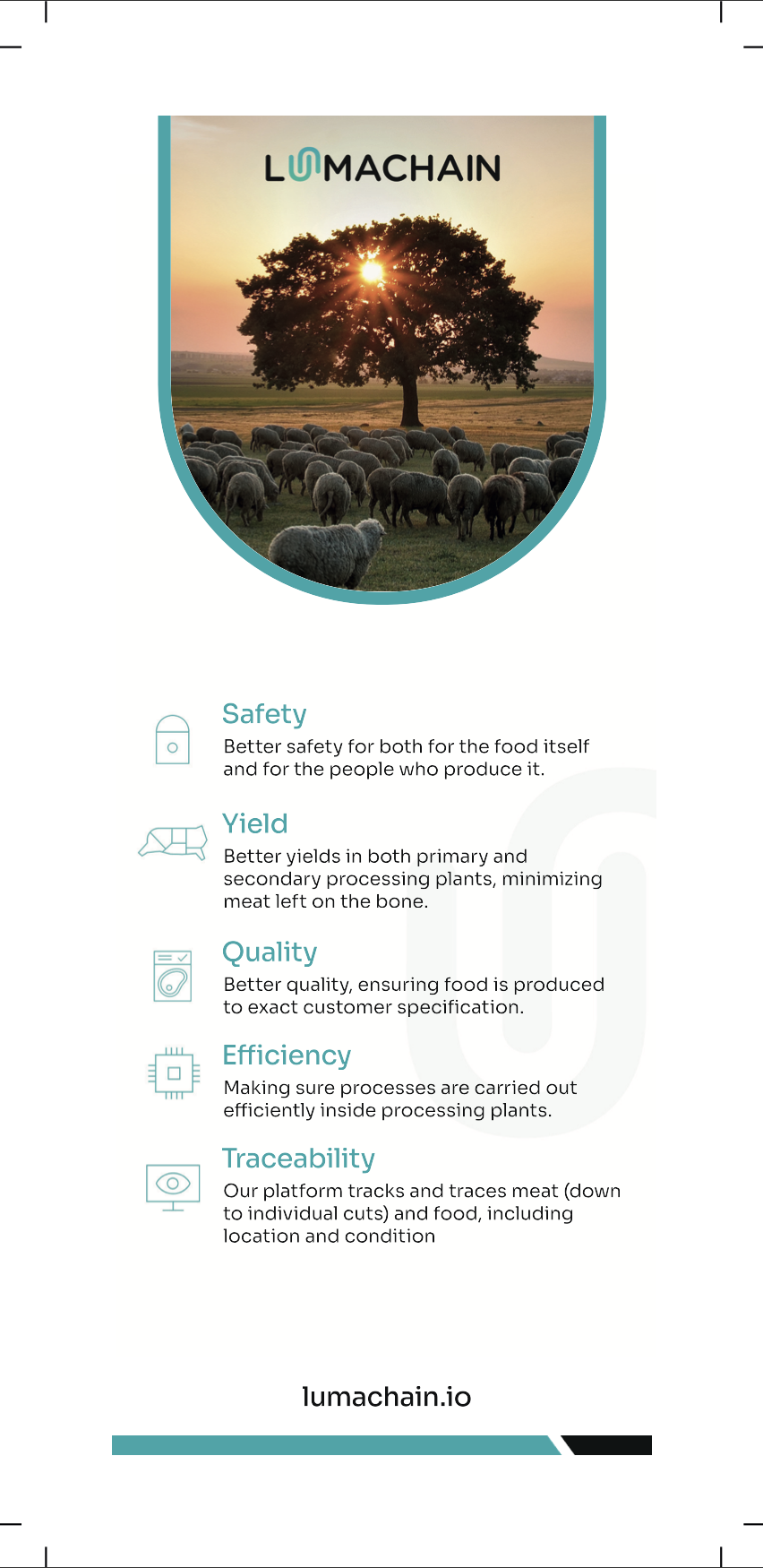 Graphic Design by AP Creatives for Lumachain | Design #35887273