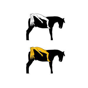 Logo Design by bartolomeus for this project | Design: #35894532