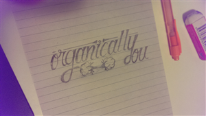 Logo Design by Noxx