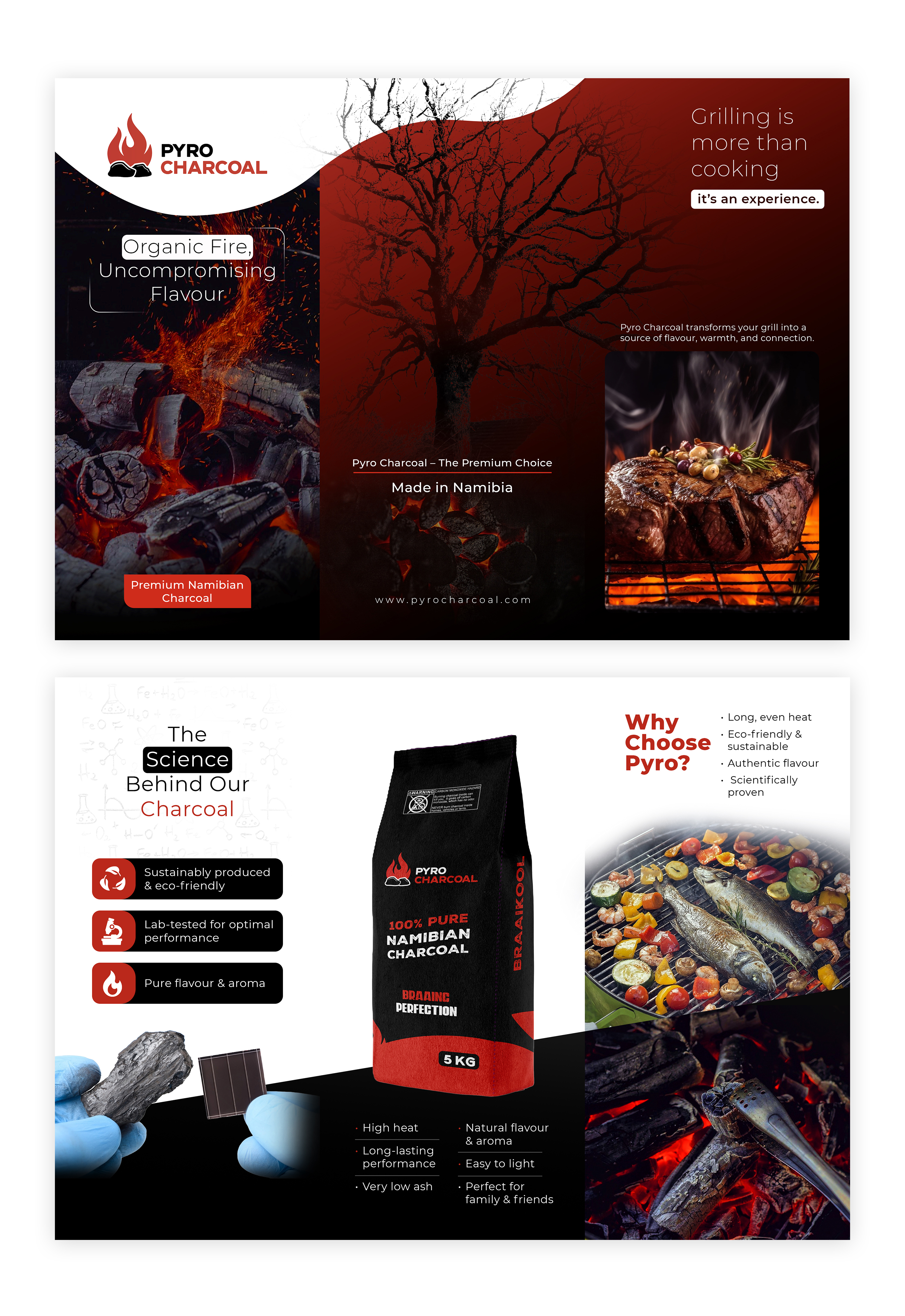 Diseño de Flyer por Farvahar Design Studio para este proyecto | Diseño #35944219