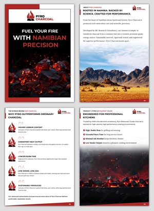 Design de Flyer par pb pour ce projet | Design : #35908009