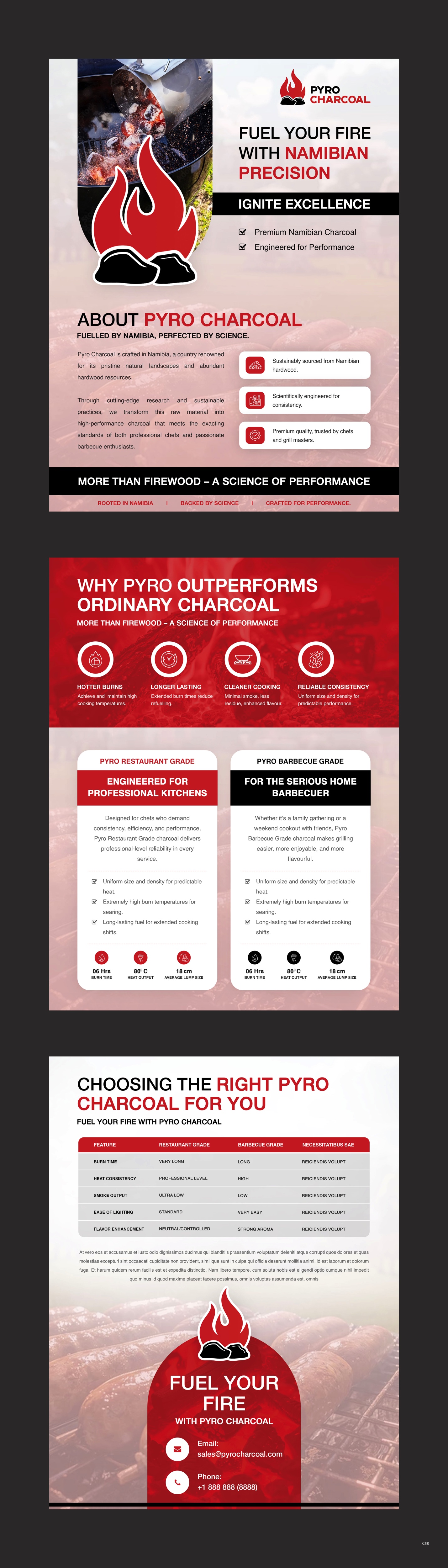 Flyer Design by pb for this project | Design #35908010