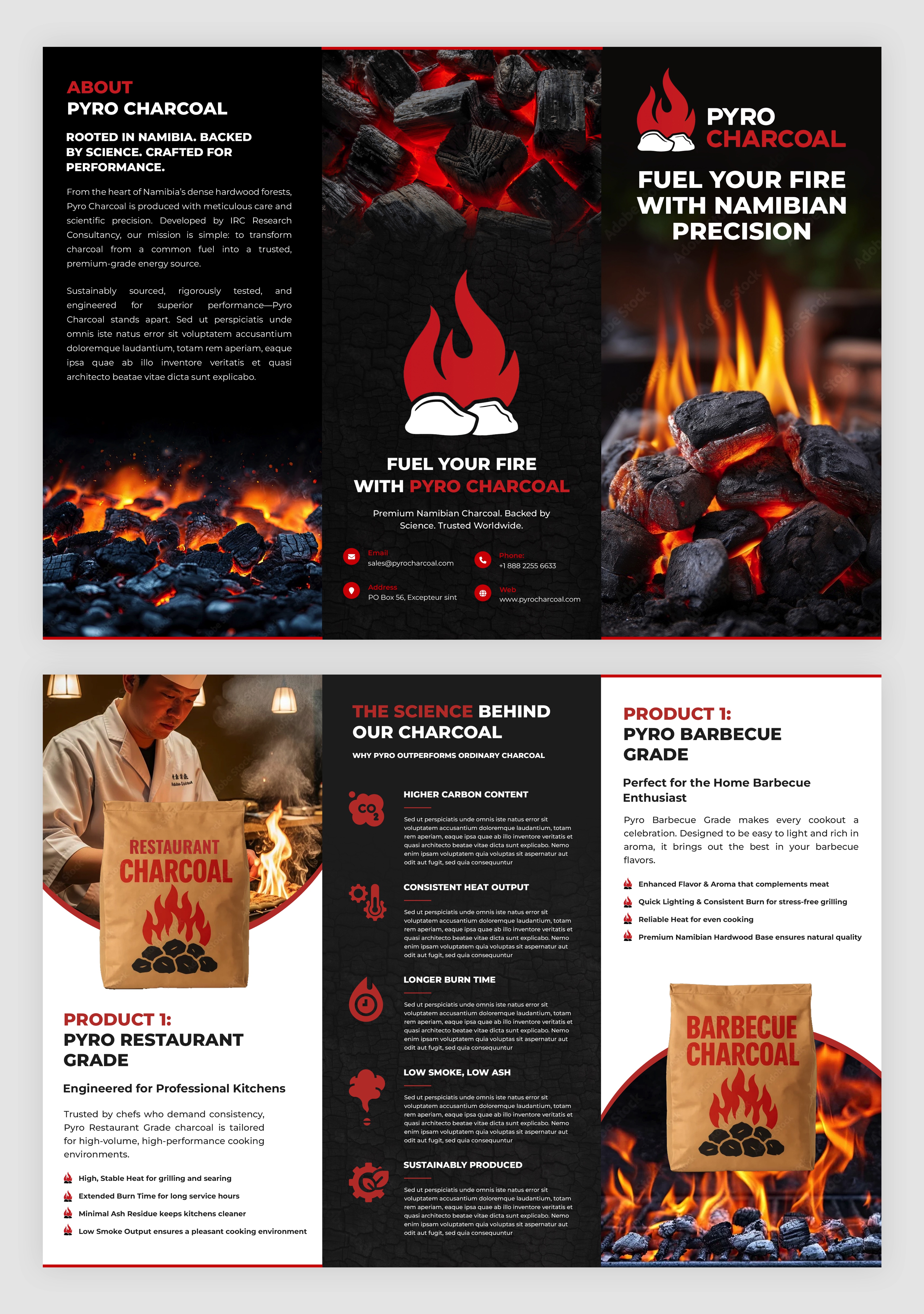 Flyer Design by pb for this project | Design #35908011
