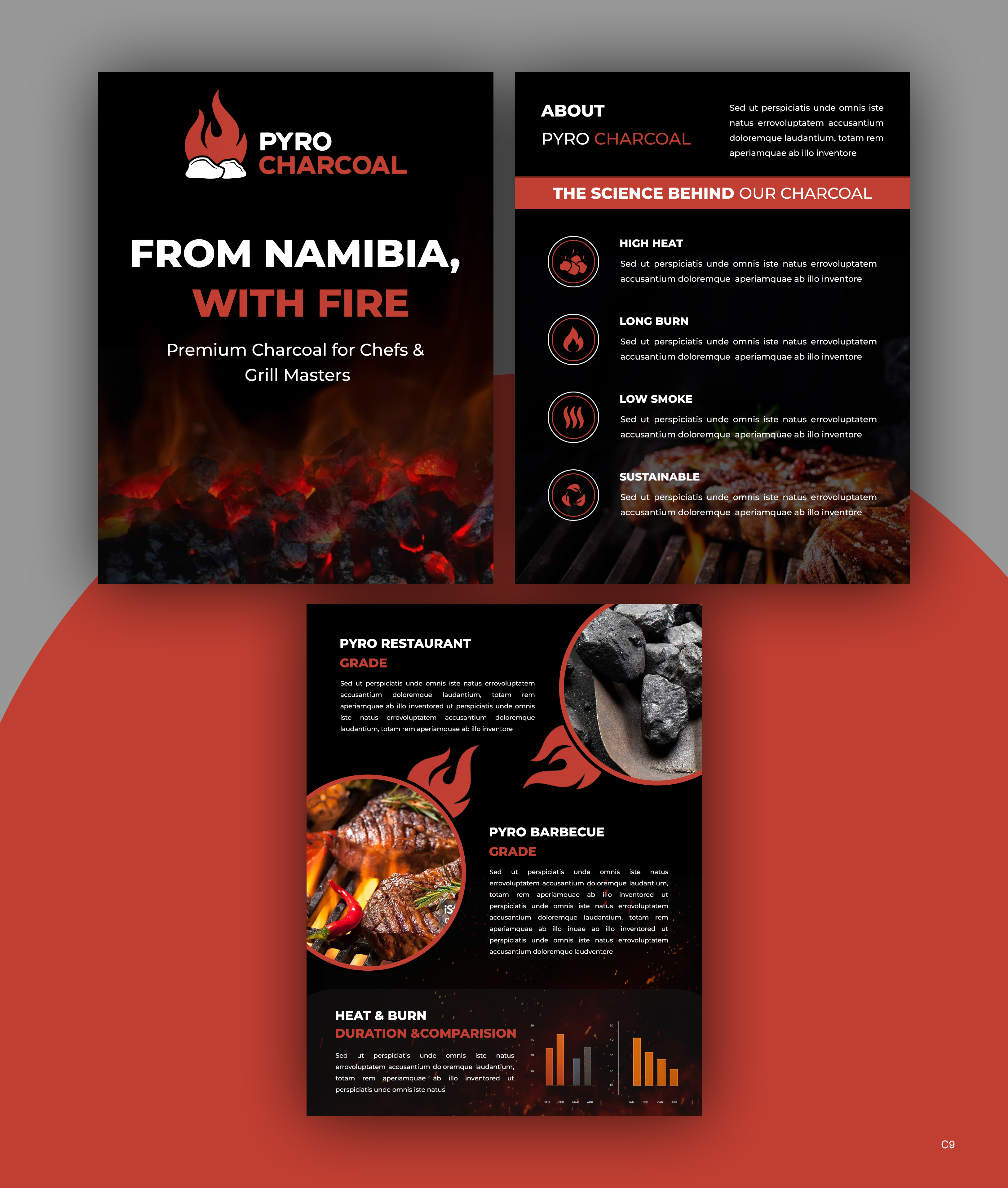 Flyer Design by pb for this project | Design #35908012