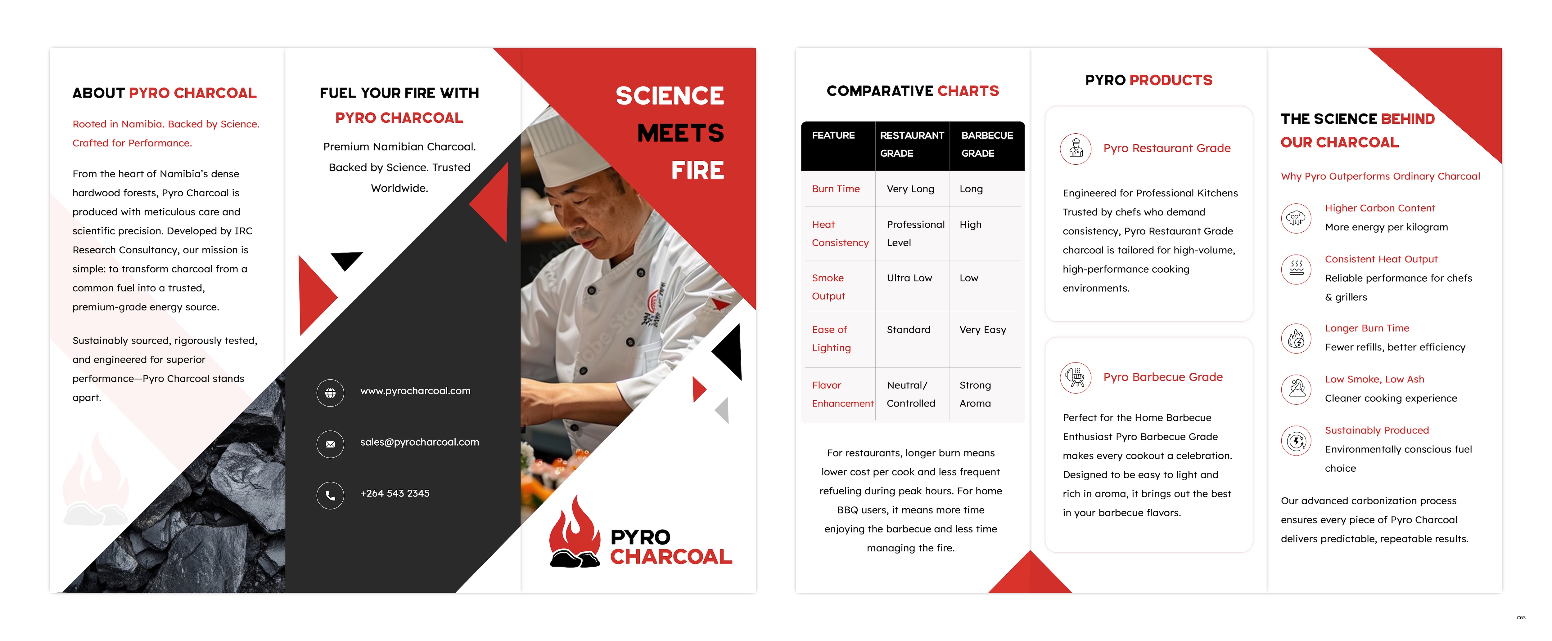 Flyer Design by pb for this project | Design #35908013