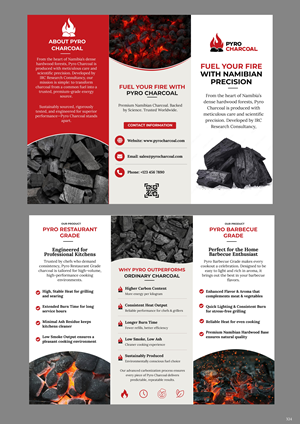 Design de Flyer par pb pour ce projet | Design : #35908014