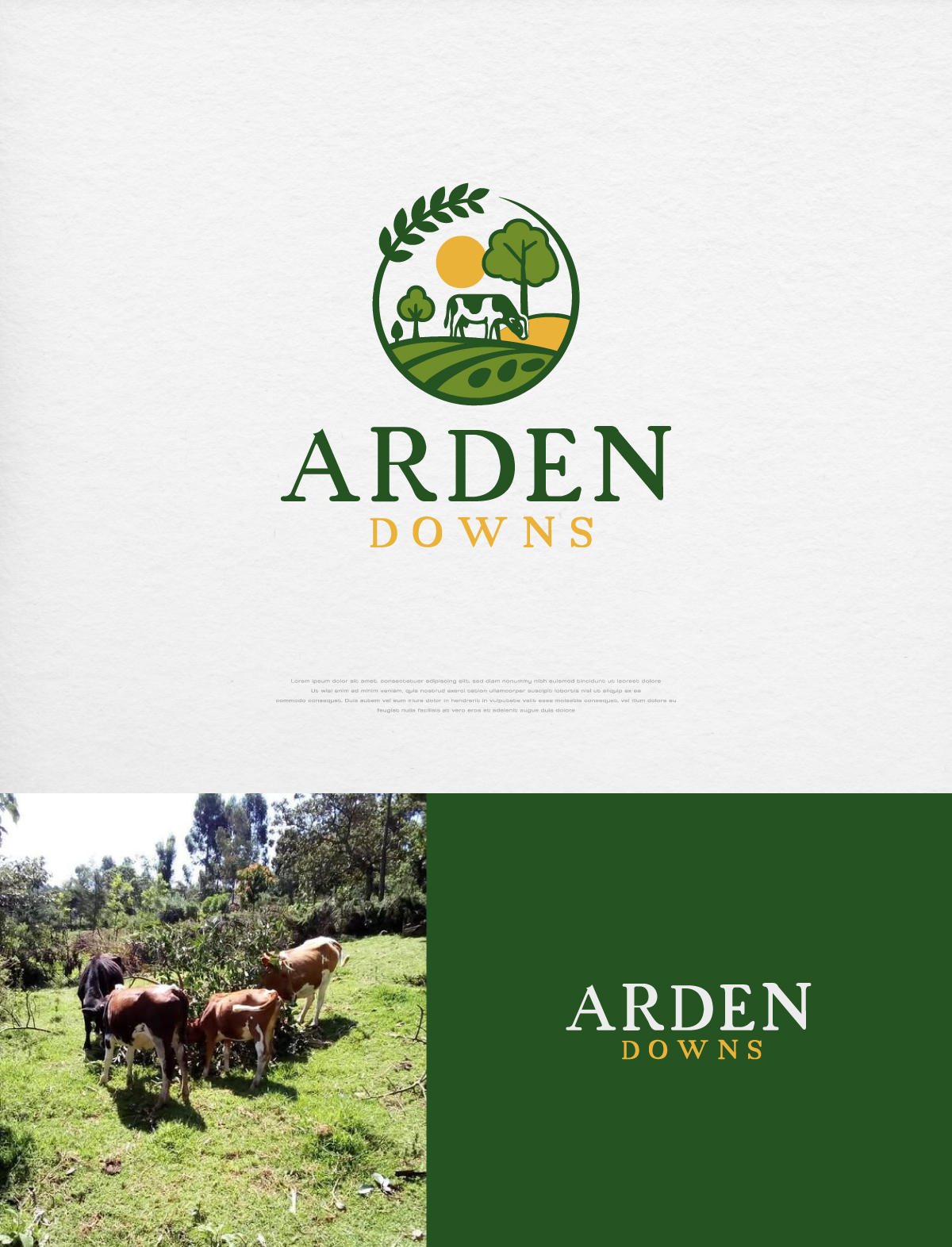 Logo Design by apik. for Pemberton Fresh Laundry | Design #35910117