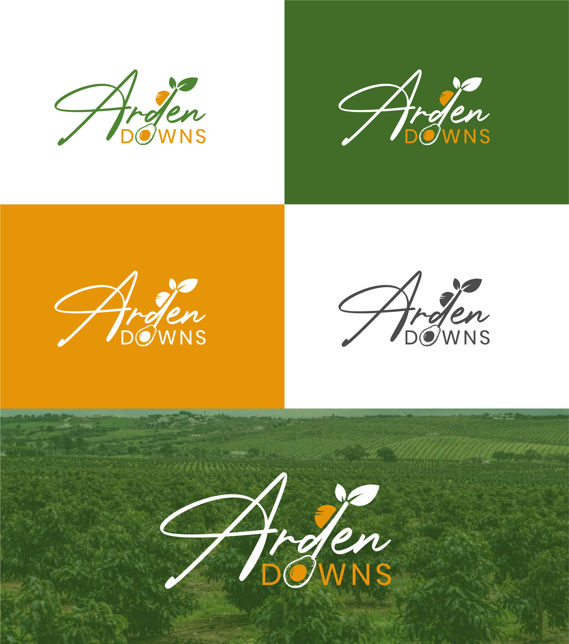 Logo Design by PixelUP Graphics for Pemberton Fresh Laundry | Design #35946269