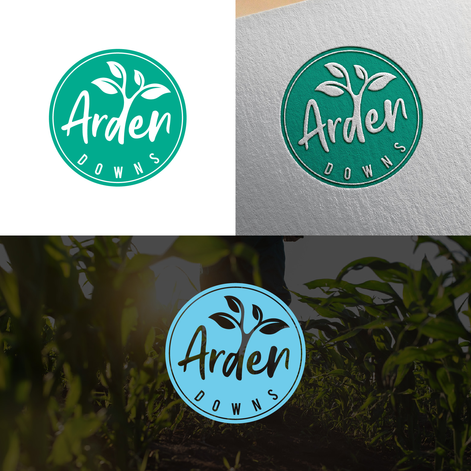 Logo Design by 4tech services for Pemberton Fresh Laundry | Design #35911056