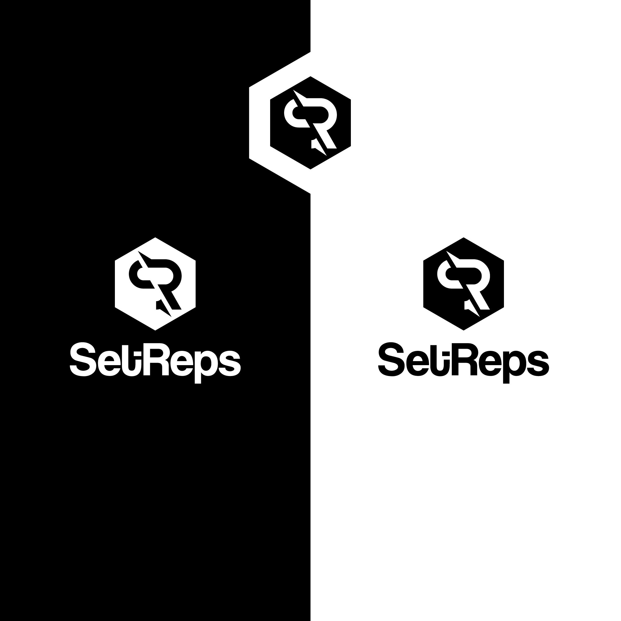 Logo Design by kaushal 05 for this project | Design #35909916