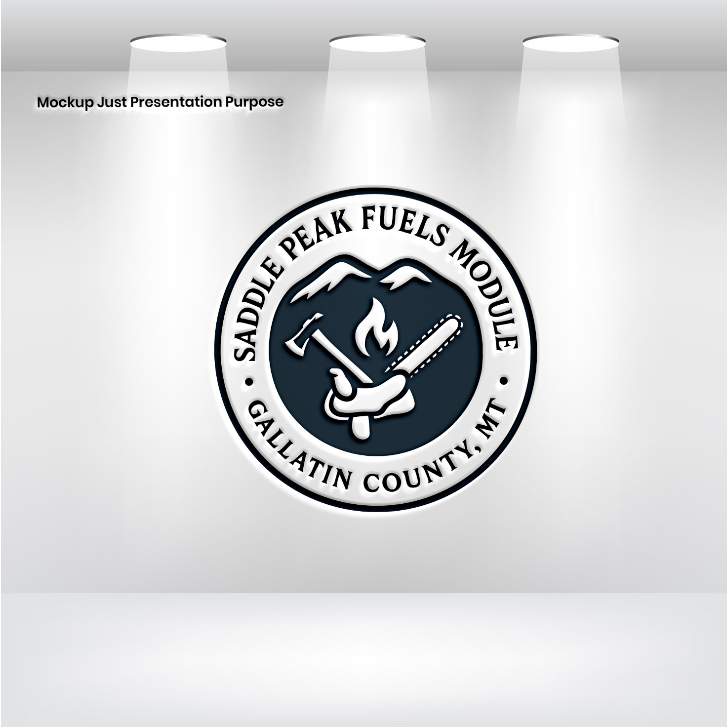 Logo Design by VectorForge for this project | Design #35927324