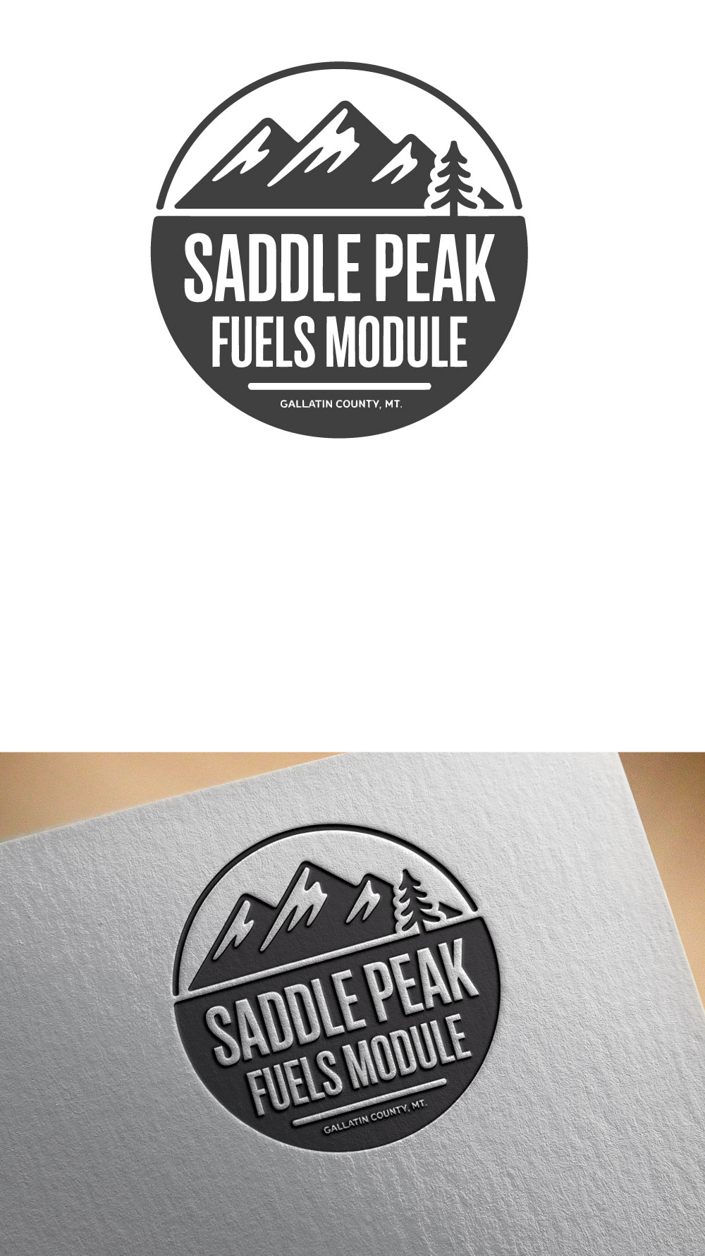 Logo Design by DesignVerse777 for this project | Design #35919012