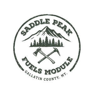 Logo Design by dynamicstudio