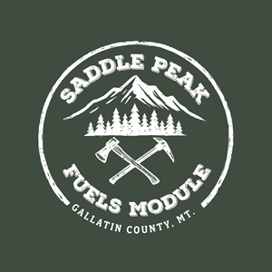 Logo Design by dynamicstudio for this project | Design: #35924932