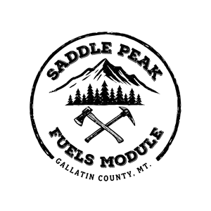 Logo Design by dynamicstudio for this project | Design: #35924933
