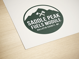 Logo Design by PixelCraft Designs for this project | Design: #35923712