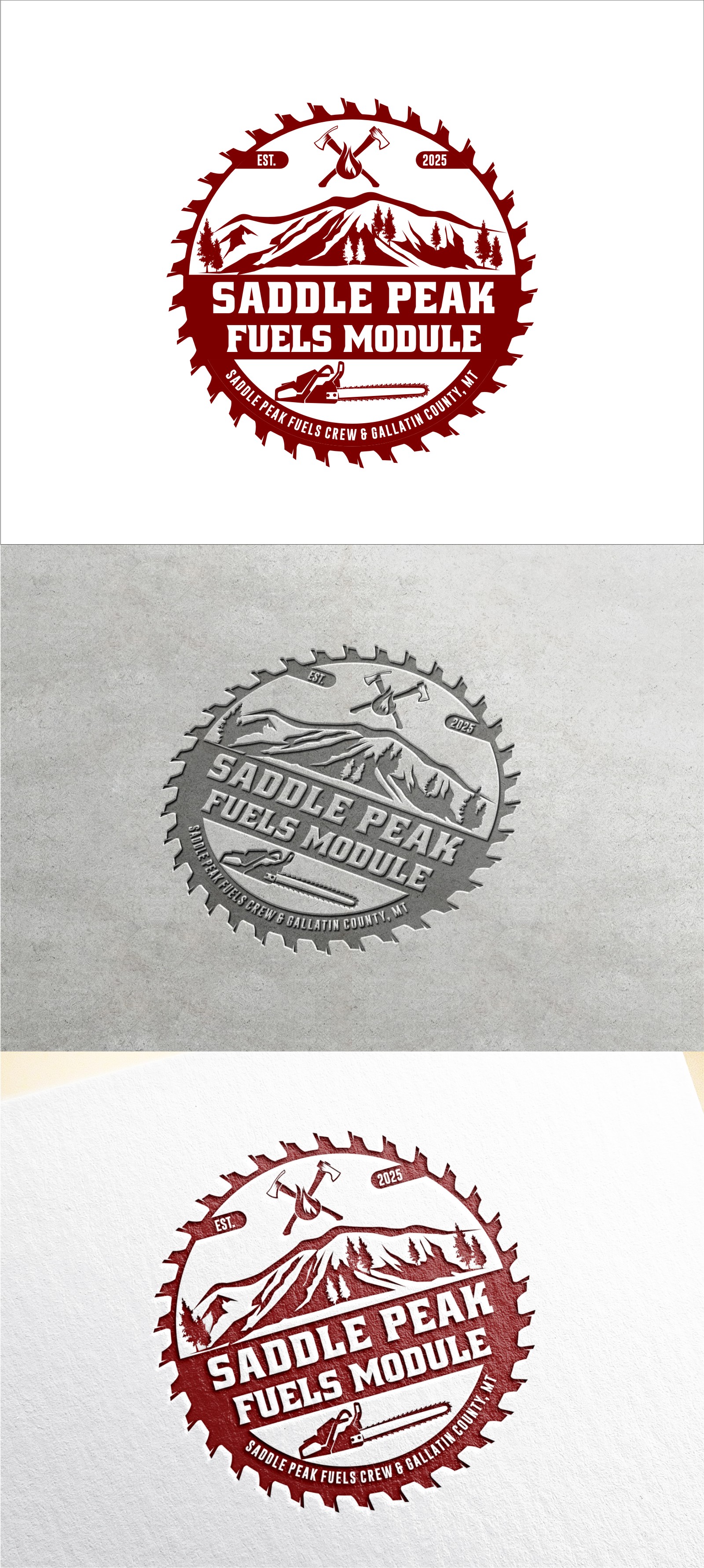 Logo Design by Soul Light for this project | Design #35931267