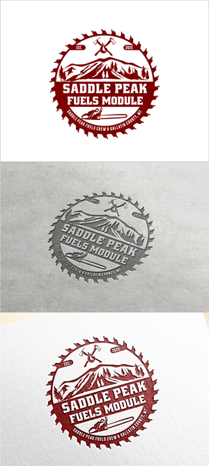 Logo Design by Soul Light for this project | Design: #35931267