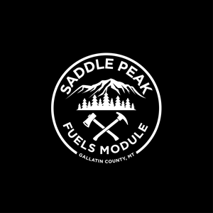 Logo Design by ares_h1 for this project | Design #35933301