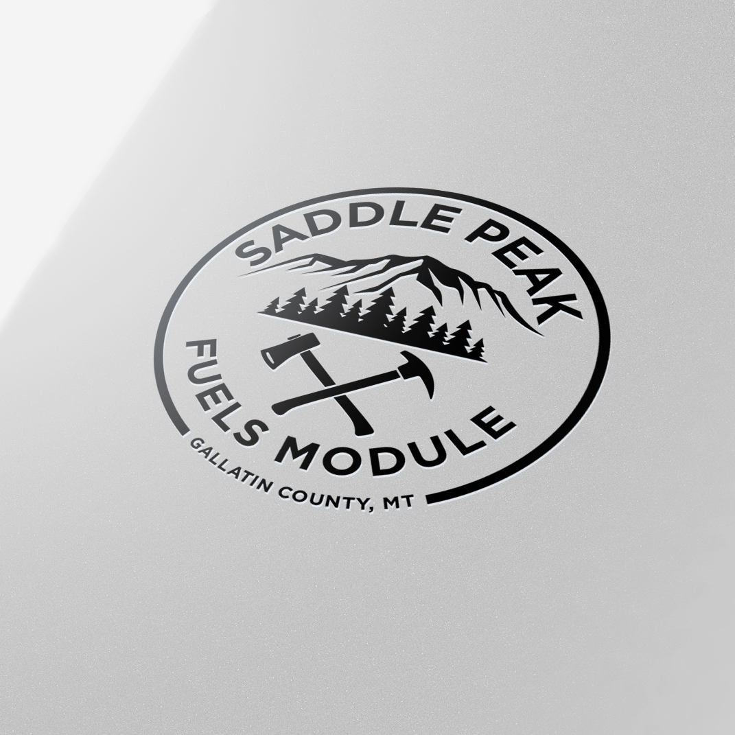 Logo Design by ares_h1 for this project | Design #35933303