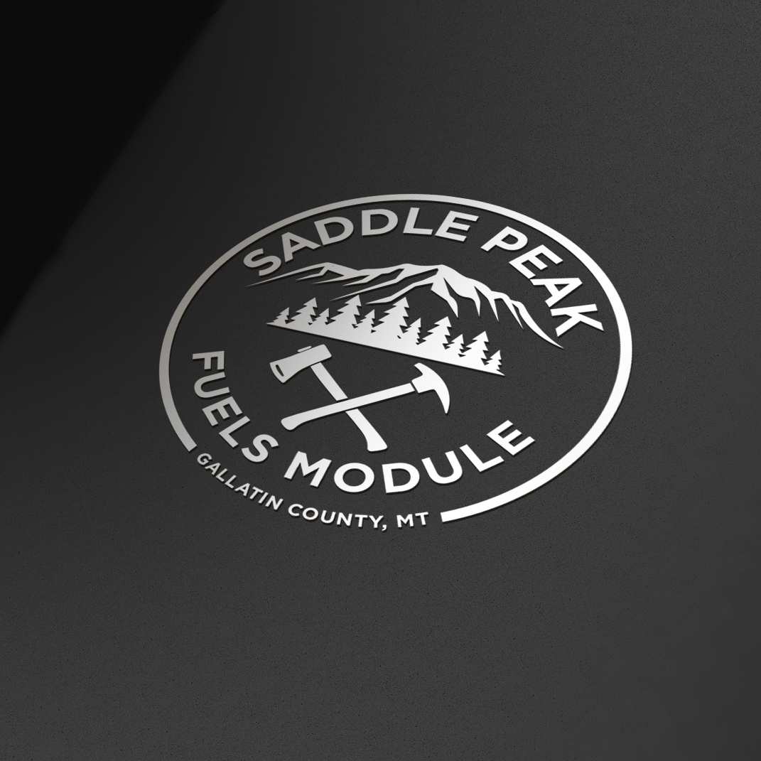 Logo Design by ares_h1 for this project | Design #35933304