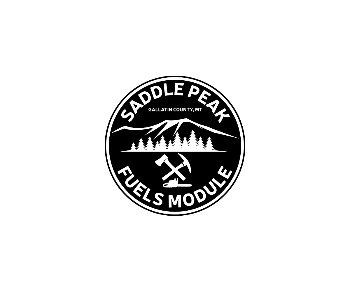 Logo Design by Ansh Design for this project | Design #35922568