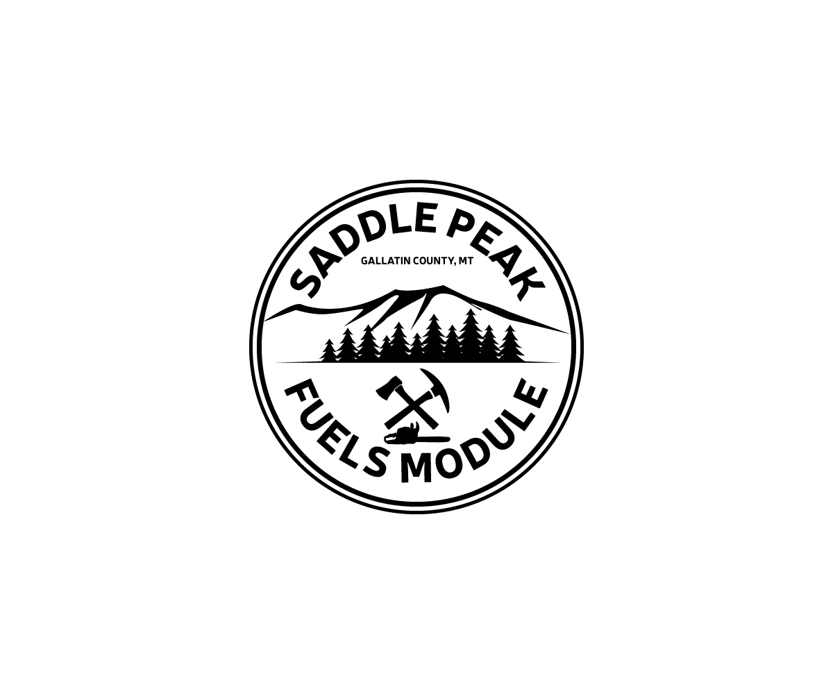 Logo Design by Ansh Design for this project | Design #35922569