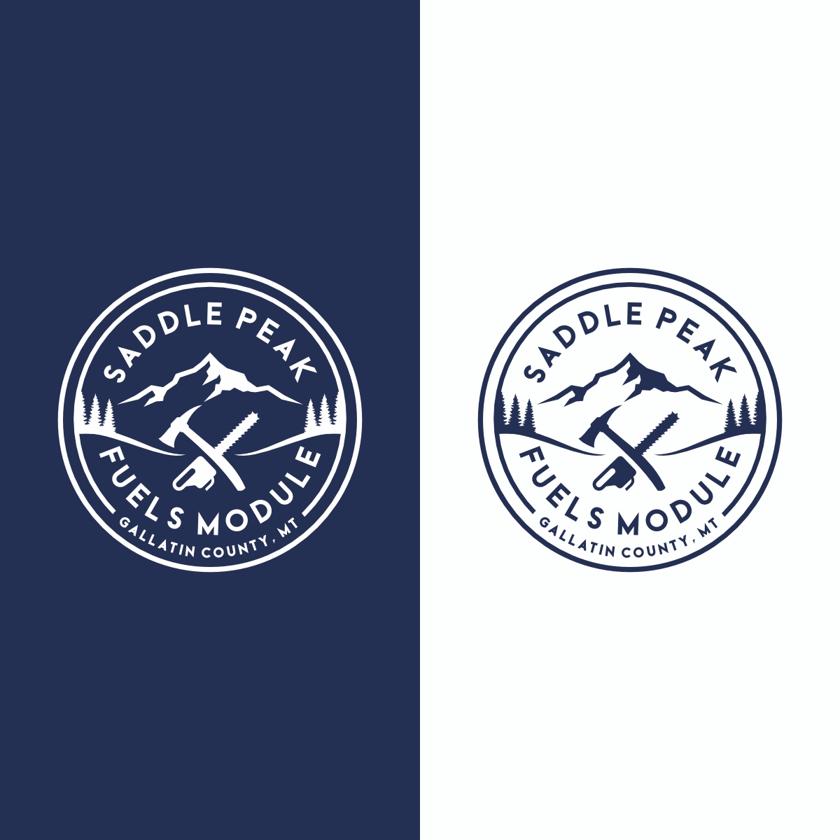 Logo Design by Ashani Bhattacharya for this project | Design #35927069