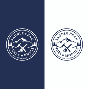 Logo Design by Ashani Bhattacharya