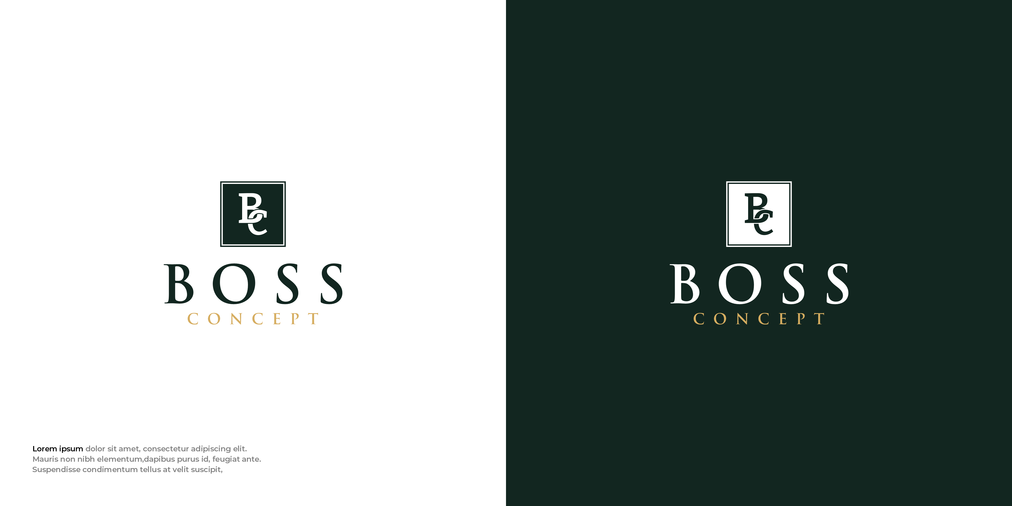 Logo Design by Mantra™ for Szinergia-Grupp Kft. | Design #35923957