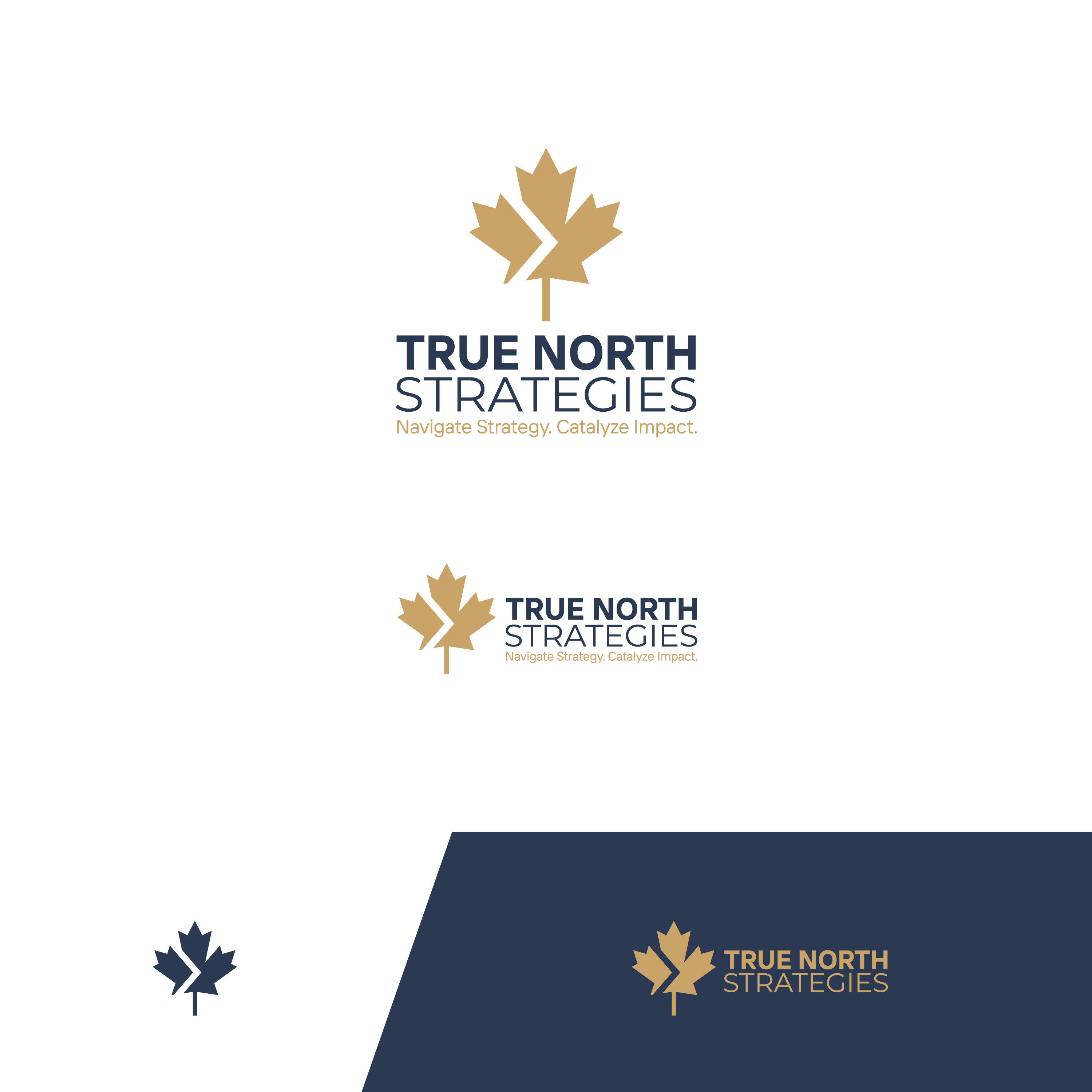 Logo-Design von arcoalex für dieses Projekt | Design #35928483