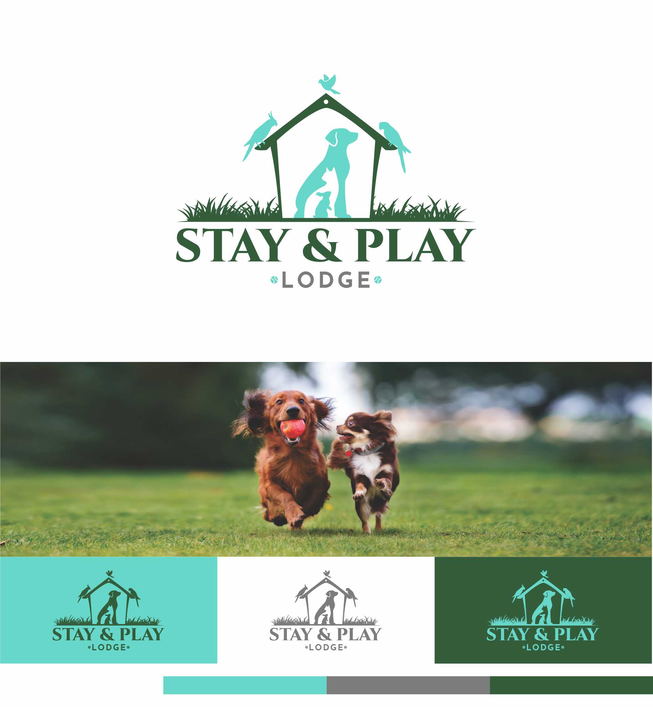 Design de Logo par Nicolene Barnard pour ce projet | Design #35960194