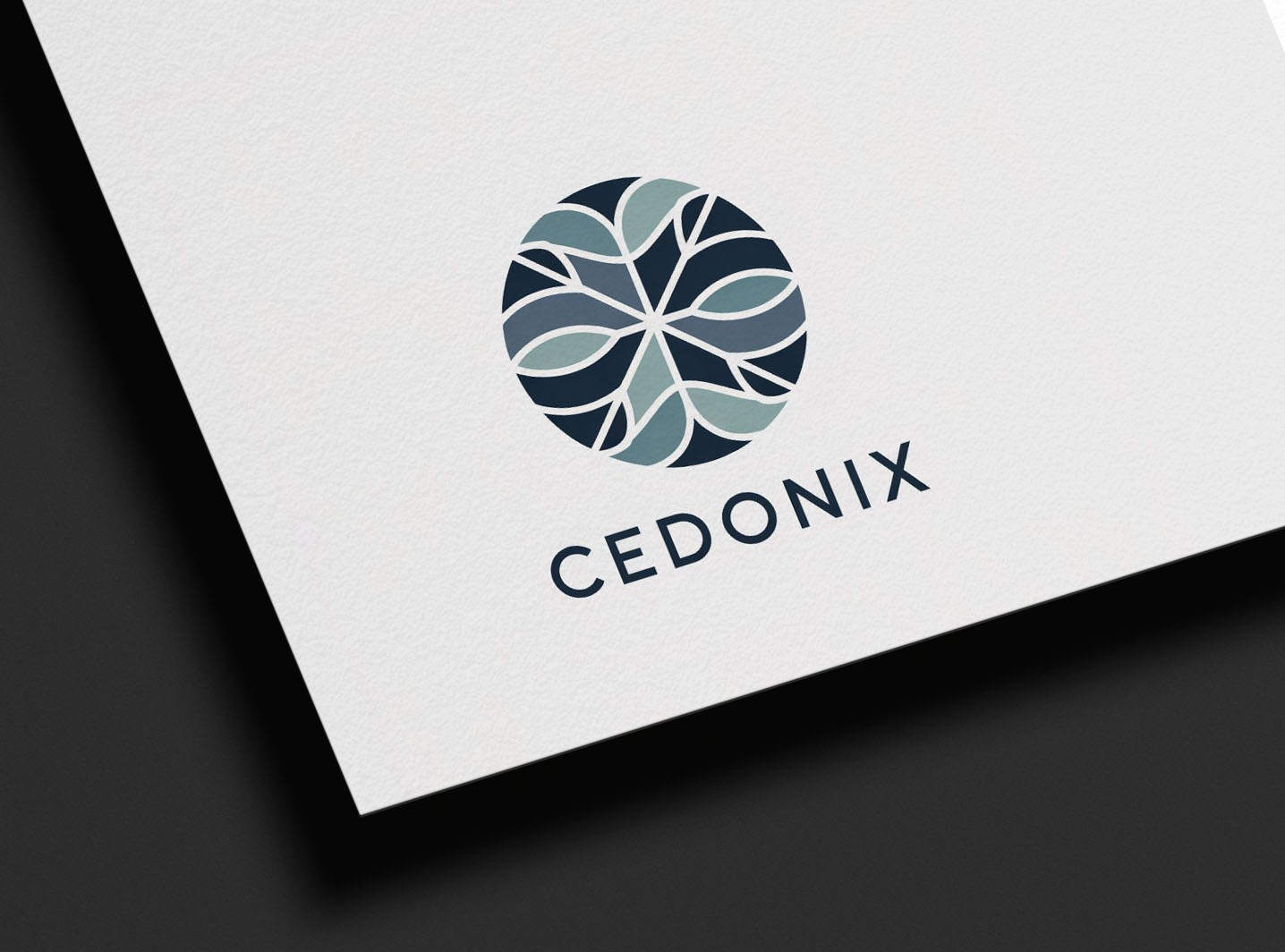 Diseño de Logo por D -lara seen para Cedonix, LLC | Diseño #35934451